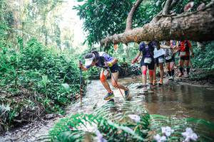 BIB: 
                            <button type="button" onclick="openModal(25461441)" class="btn btn-primary btn-sm float-right btn-popup" data-toggle="modal" data-target=".modal-high-quality">
                        <i class="fas fa-shopping-cart"></i> Add to Cart
                    </button>
                                            <button type="button" onclick="isThisMe(25461441, true)" class="btn btn-success btn-sm float-right btn-popup btn-isme hidden" data-toggle="tooltip" data-placement="bottom" title="นี่คือรูปของคุณใช่ไหม คลิกที่นี่เพื่อเอาเข้าอัลบั้ม">
                        <i class="fas fa-plus"></i> Add to album
                    </button>
                    <button type="button" onclick="isThisMe(25461441, false)" class="btn btn-warning btn-sm float-right btn-popup btn-isnotme hidden">
                        <i class="fas fa-ban"></i> Remove from album
                    </button>